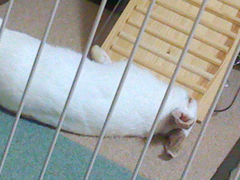 f0201191_1891036.jpg
