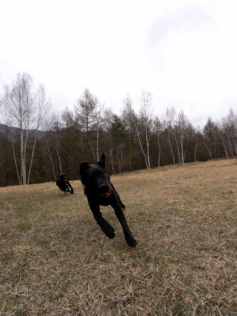 a0093592_041469.jpg