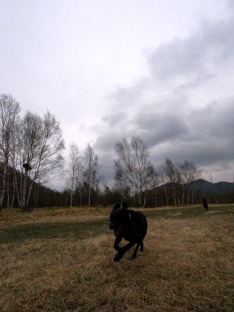 a0093592_043051.jpg