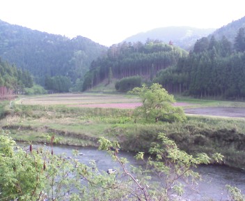 c0102492_1550163.jpg