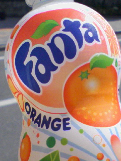 d0000298_012450.jpg