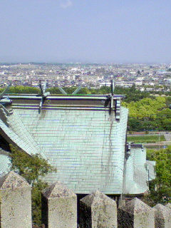 d0000298_0125874.jpg