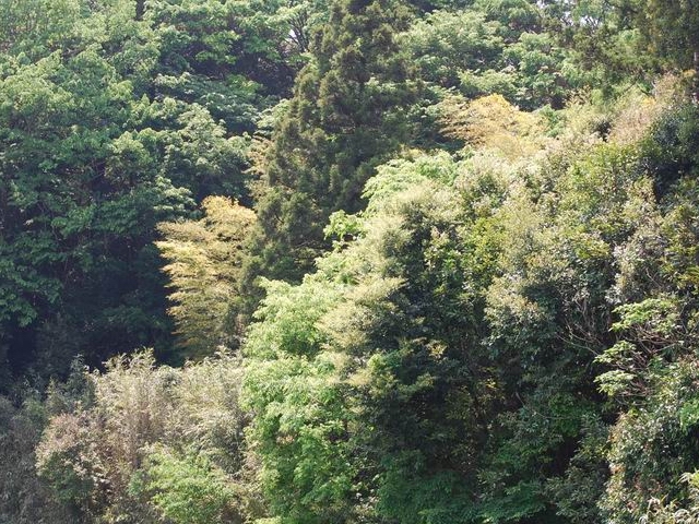 e0025300_210810.jpg