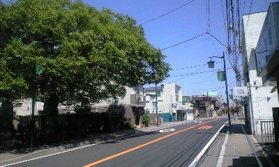 b0083902_0194260.jpg