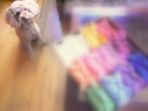 c0156703_138436.jpg