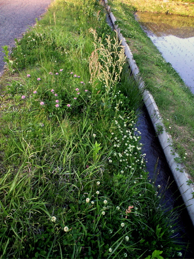 f0135908_21315378.jpg