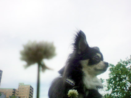 e0177509_2172495.jpg
