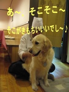 b0008217_20525467.jpg