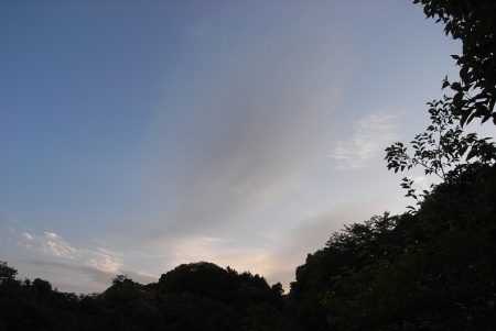 e0002817_12375165.jpg