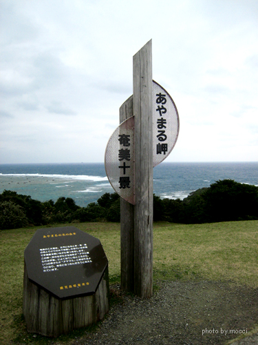 d0131523_202075.jpg