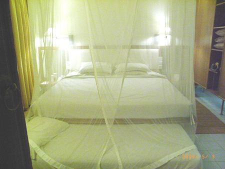 e0139926_0311616.jpg