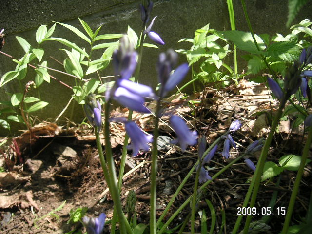 a0020929_22334156.jpg