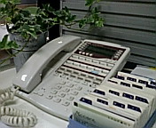 c0051529_2133175.jpg