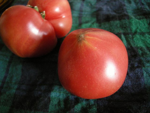 e0153632_22341420.jpg