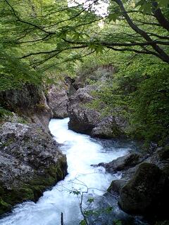 f0118332_17452714.jpg