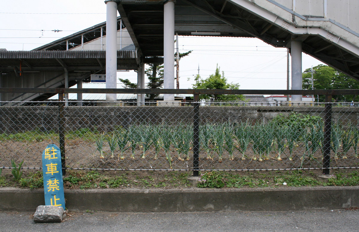 c0073633_21283121.jpg
