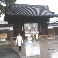 d0033734_11442812.gif