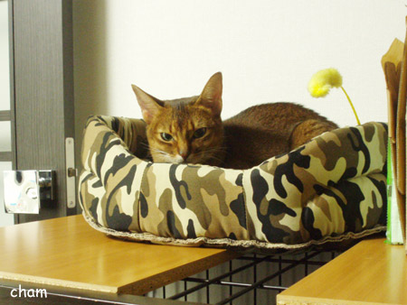 c0132438_2293389.jpg