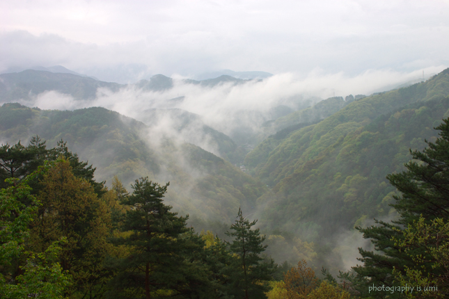 e0083238_2211274.jpg