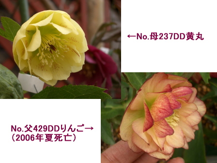 c0025140_16462973.jpg