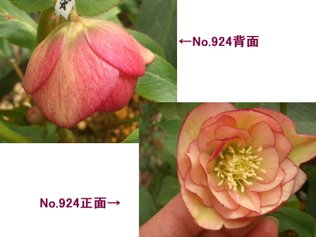 c0025140_1662549.jpg