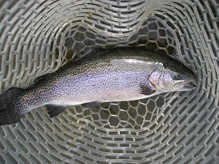 f0065341_11275239.jpg