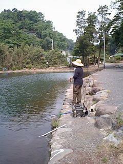 f0065341_11285854.jpg