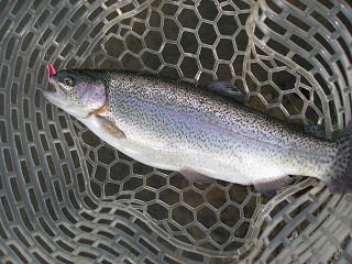f0065341_1128865.jpg