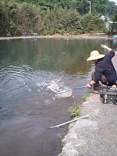 f0065341_11291971.jpg