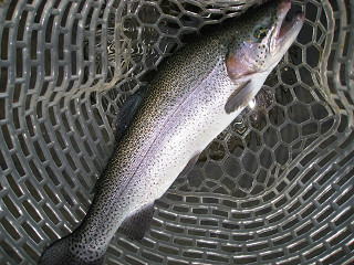 f0065341_11522115.jpg