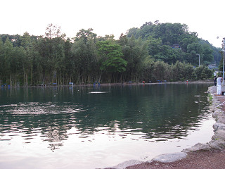f0065341_1157228.jpg