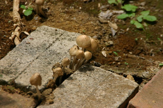 f0094843_22472637.jpg