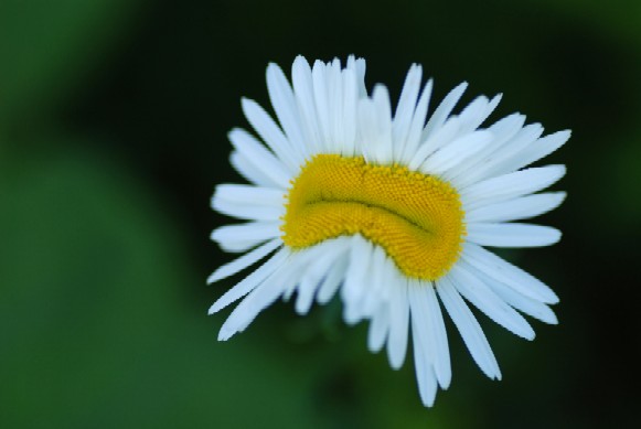 e0009147_1911747.jpg