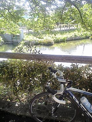 c0179152_11303662.jpg