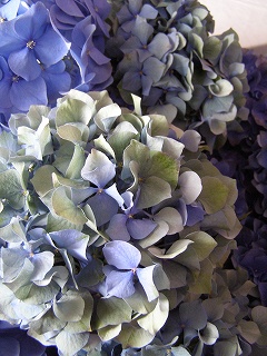 e0118257_22103924.jpg