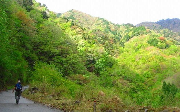 c0119160_20551427.jpg