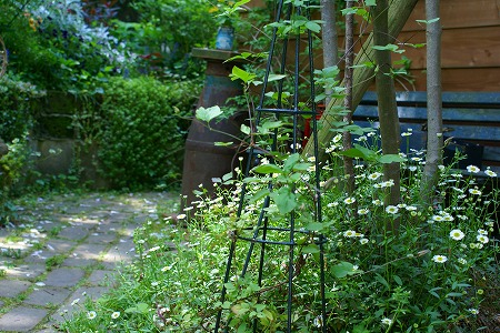 d0083761_20544884.jpg