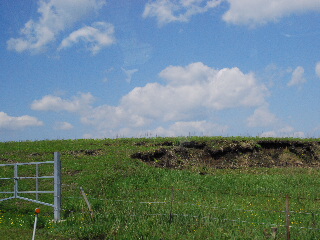 d0087062_225385.jpg