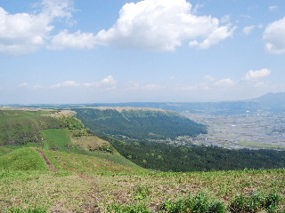 d0087062_2255279.jpg