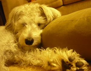 f0203369_22381319.jpg