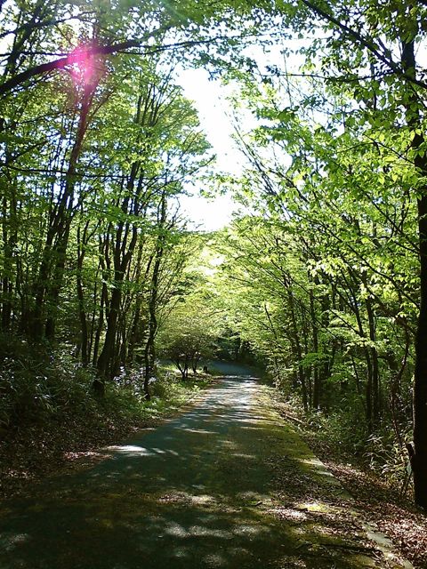 c0082573_1315044.jpg