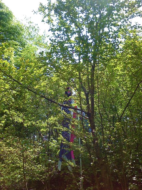 c0082573_1322516.jpg