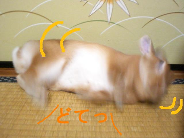 d0134977_10422591.jpg