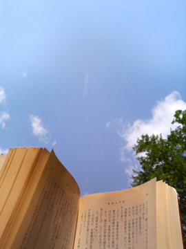 f0054677_8434414.jpg