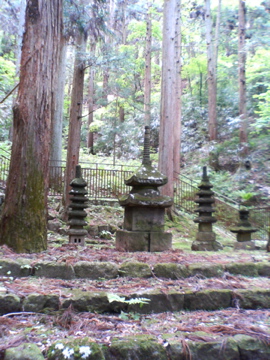 f0054677_844555.jpg