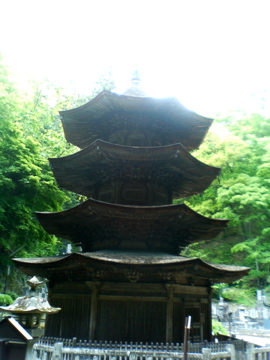 f0054677_8452473.jpg