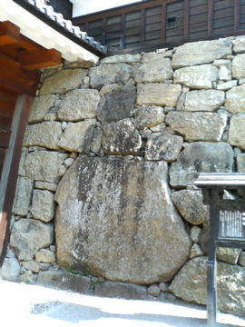 f0054677_847561.jpg