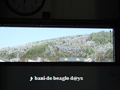 f0150377_22553655.jpg