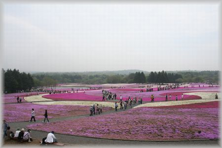 d0082980_15172325.jpg