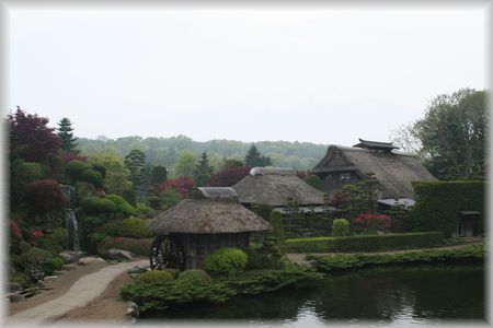 d0082980_16461834.jpg